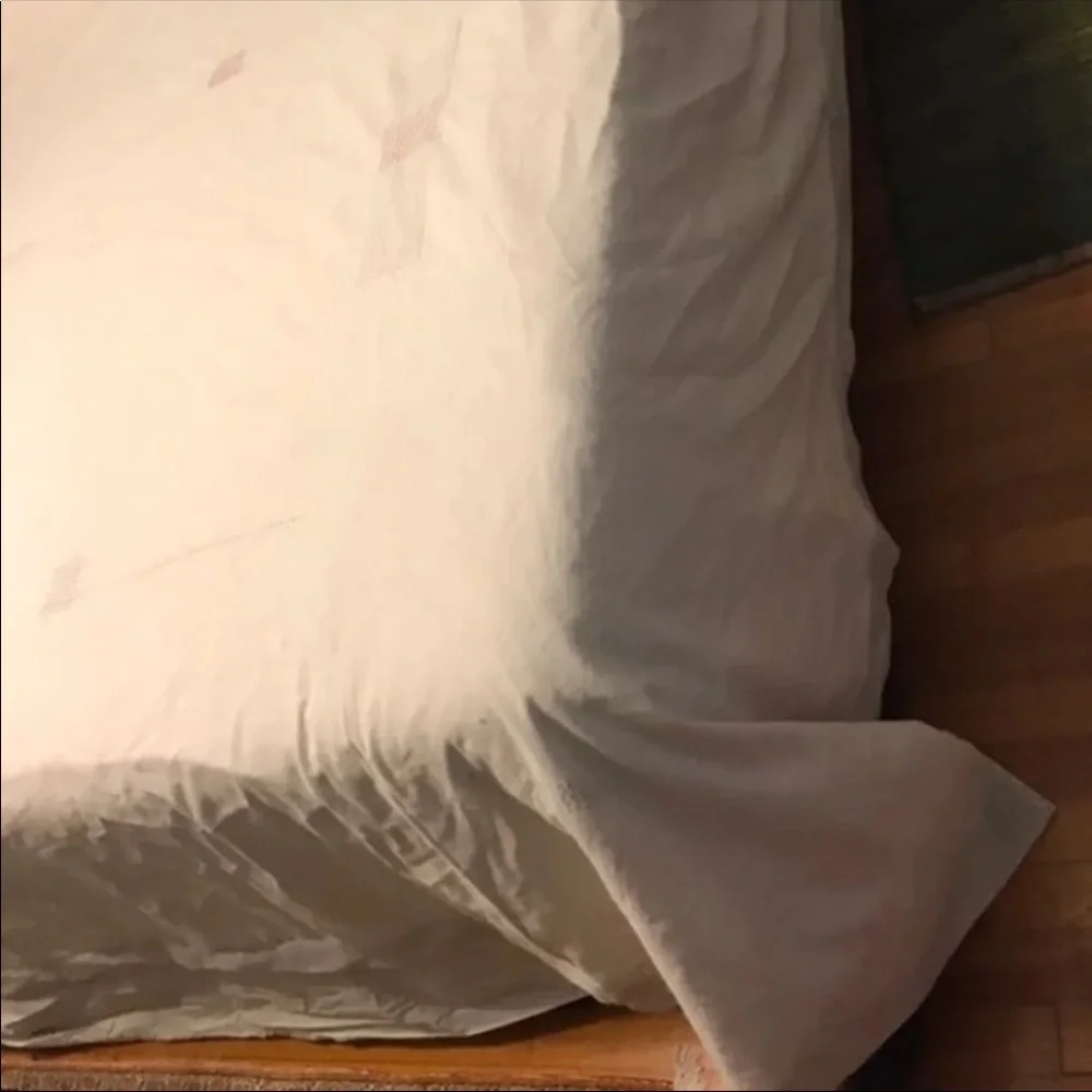 New Anthropologie Embroidered Hildegard’s Duvet Cover King